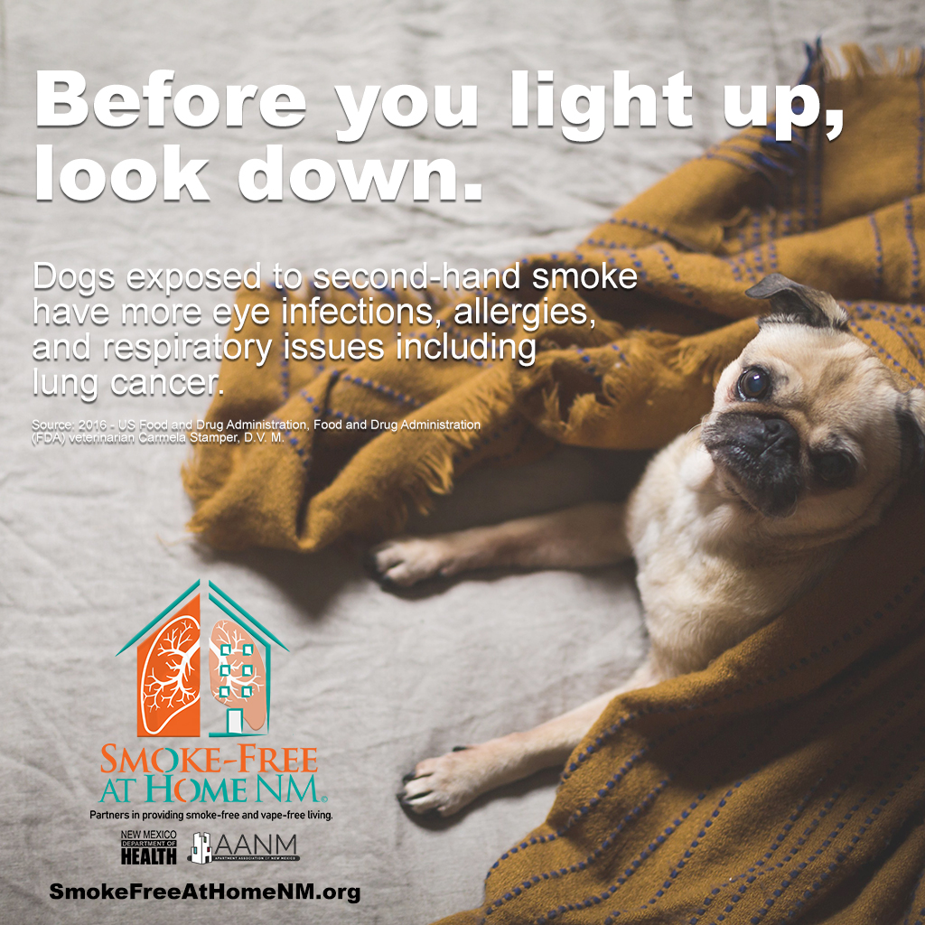 dogs and secondhand smoke dogs and secondhand smoke