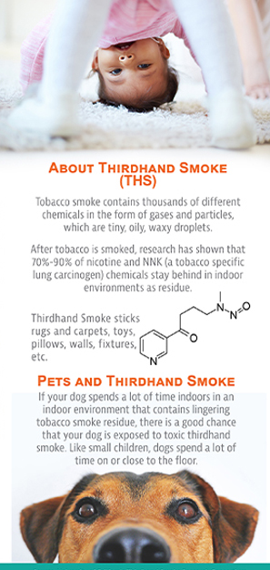 thirdhand-smoke-rack-card-back