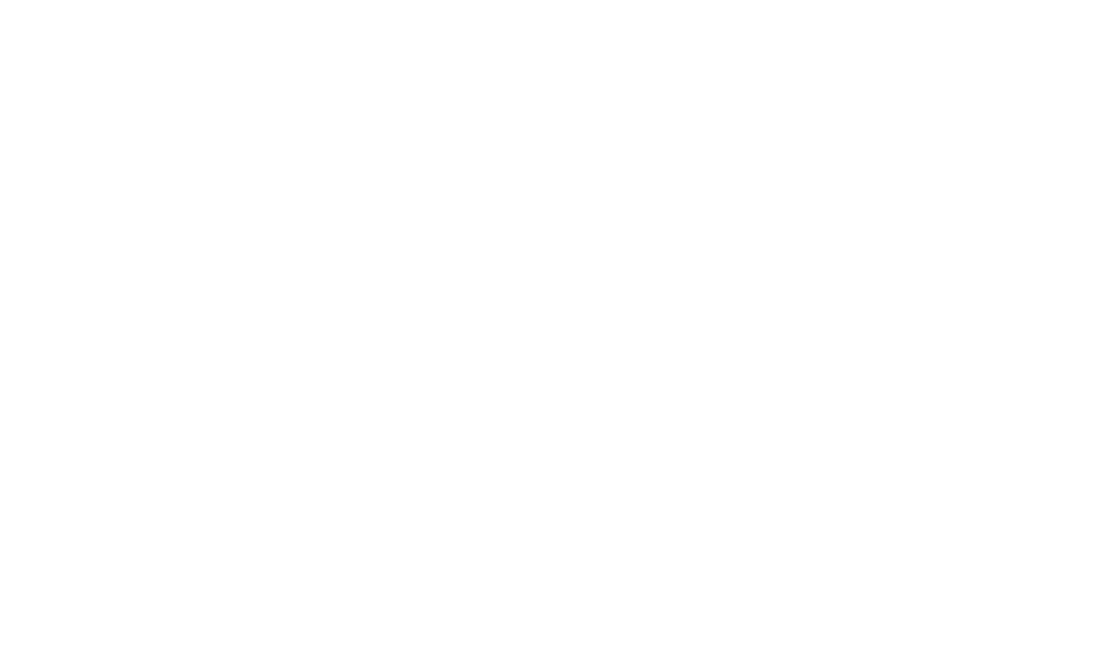 NMHealth Logo White