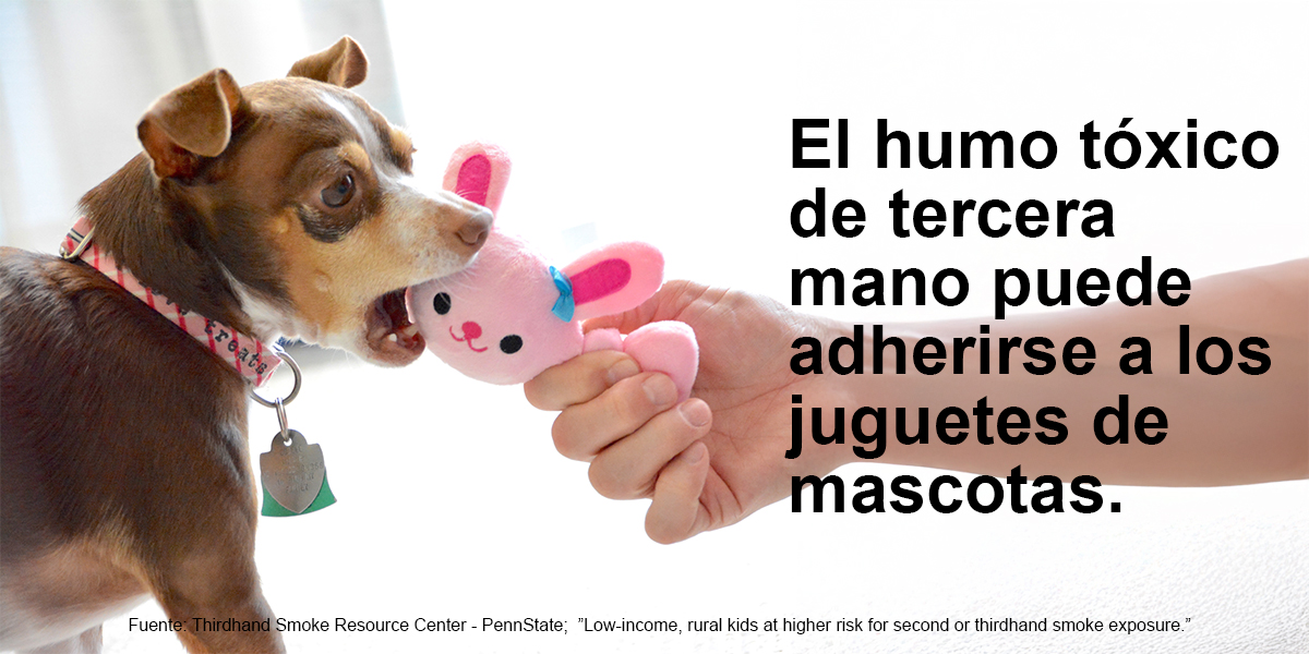 Pets-and-Thirdhand-Smoke-Spanish Thirdhand smoke and pets